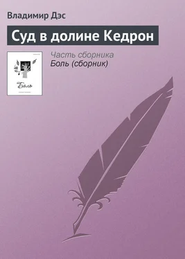 Владимир Дэс Суд в долине Кедрон обложка книги