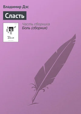 Владимир Дэс Сласть обложка книги