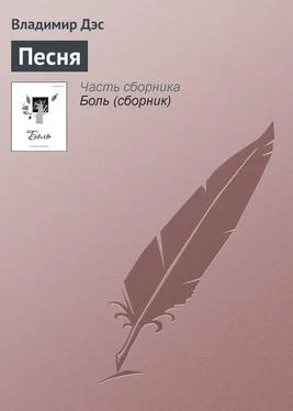 Владимир Дэс Песня обложка книги