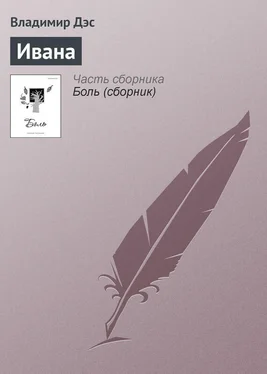 Владимир Дэс Ивана обложка книги