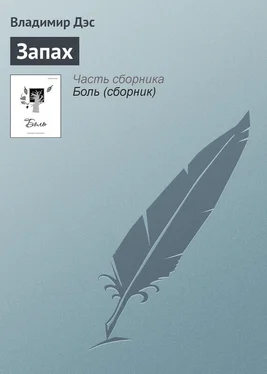 Владимир Дэс Запах обложка книги