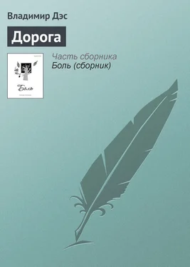 Владимир Дэс Дорога обложка книги