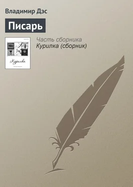 Владимир Дэс Писарь обложка книги