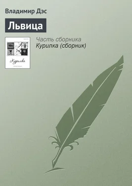 Владимир Дэс Львица обложка книги