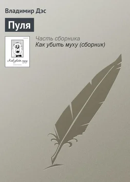 Владимир Дэс Пуля обложка книги