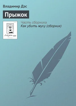 Владимир Дэс Прыжок обложка книги