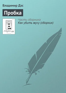 Владимир Дэс Пробка обложка книги