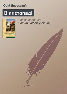 Юрій Яновський В листопаді обложка книги