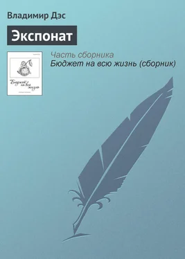 Владимир Дэс Экспонат обложка книги