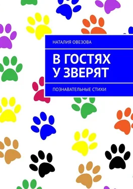 Наталия Овезова В гостях у зверят. Познавательные стихи обложка книги