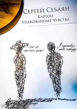 Сергей Себаян Картон: упакованные чувства обложка книги