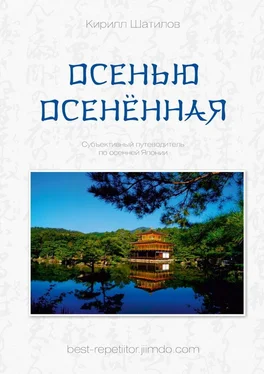 Кирилл Шатилов Осенью осенённая обложка книги