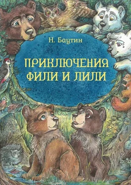 Николай Баутин Приключения Фили и Лили обложка книги