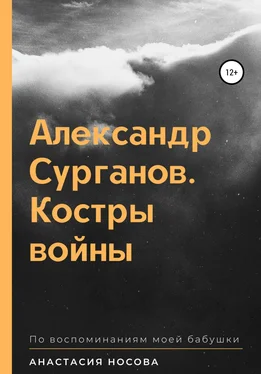 Анастасия Носова Александр Сурганов. Костры войны обложка книги