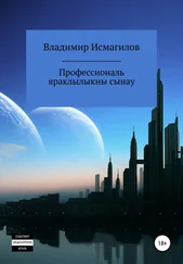 Владимир Исмагилов - Профессиональ яраклылыкны сынау