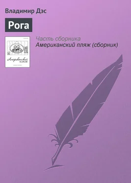 Владимир Дэс Рога обложка книги