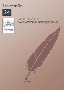 Владимир Дэс 24 обложка книги