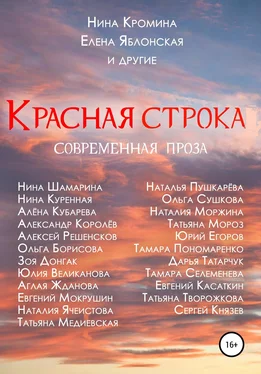 Нина Кромина Красная строка обложка книги