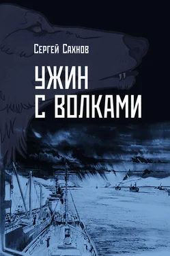 Сергей Сахнов Ужин с волками обложка книги