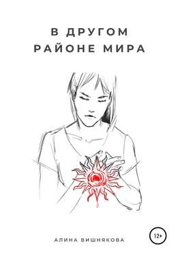 Алина Вишнякова В другом районе мира обложка книги