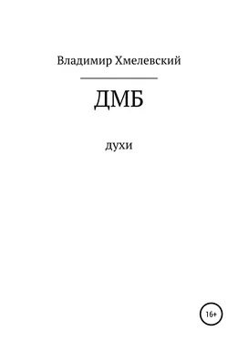 Владимир Хмелевский ДМБ обложка книги