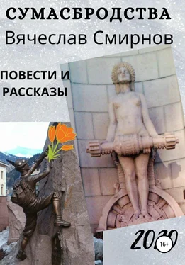 Вячеслав Смирнов Сумасбродства обложка книги