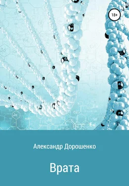 Александр Дорошенко Врата обложка книги