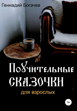 Геннадий Богачев Поучительные сказочки обложка книги