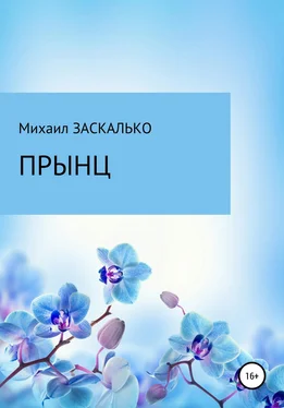 Михаил Заскалько Прынц обложка книги