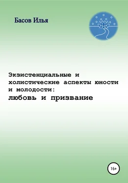 Илья Басов Экзистенциальные и холистические аспекты юности и молодости: любовь и призвание обложка книги