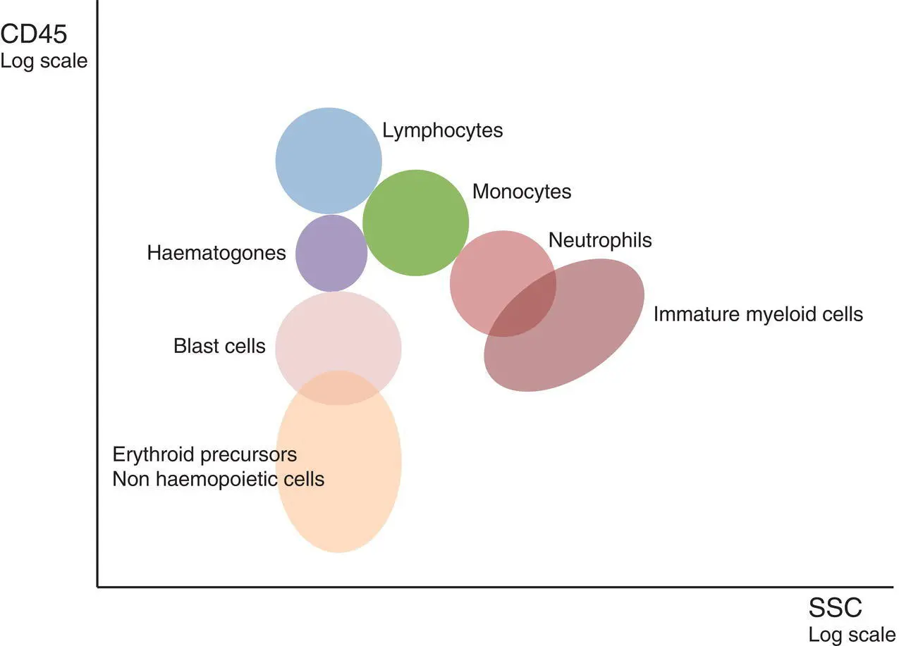 Figure 13 Delineation of peripheral blood or bone marrow leucocyte populations - фото 4