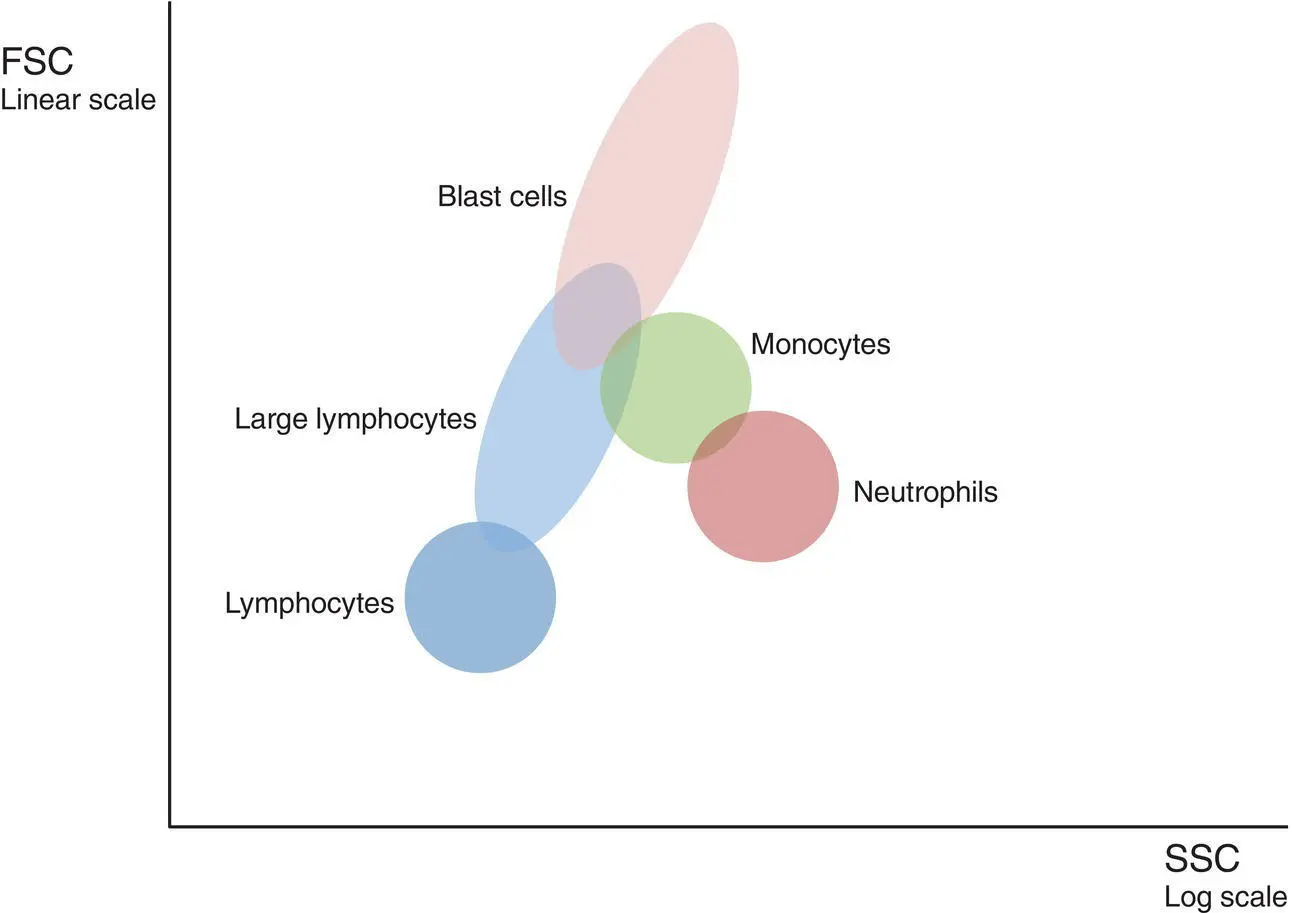 Figure 12 Delineation of peripheral blood leucocyte populations using forward - фото 3