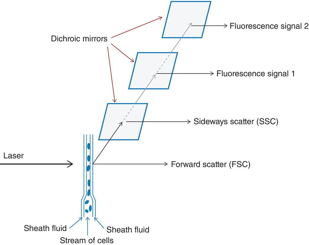 Figure 11 Diagrammatic representation of the principles of flow cytometric - фото 2