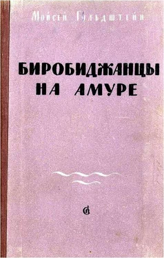 Моисей Гольдштейн Биробиджанцы на Амуре обложка книги