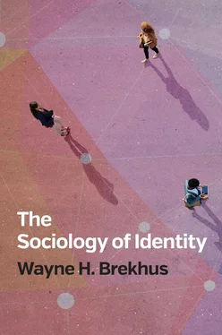 Wayne H. Brekhus The Sociology of Identity обложка книги