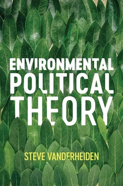 Steve Vanderheiden Environmental Political Theory обложка книги