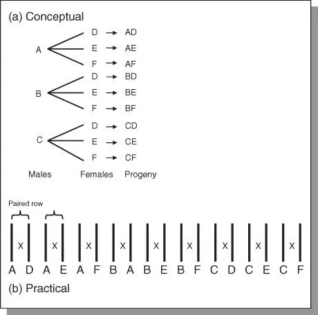 Figure 46North Carolina Design II a This is a factorial design b Paired - фото 76