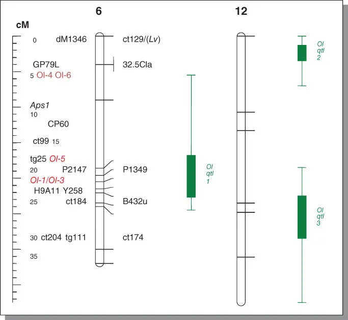 Figure B52The chromosome locations of tomato loci for resistance to tomato - фото 98