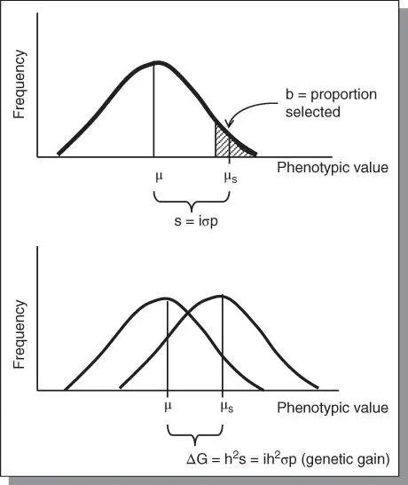 Figure 44Genetic gain or genetic advance from selection indicates the progress - фото 59