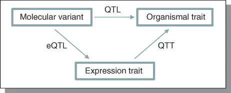 Figure 48Systems genetics of complex traits An integrative framework showing - фото 82