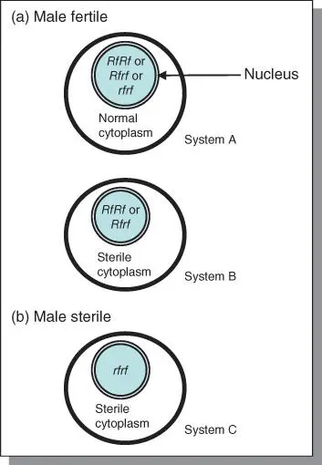 Figure 511The three systems of cytoplasmic genetic male sterility The three - фото 95