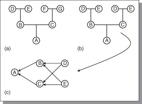 Figure 33Pedigree diagrams can be drawn in the standard form a or b or - фото 31