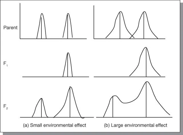 Figure 41Environmental effect on gene expression The phenotype genotype - фото 36