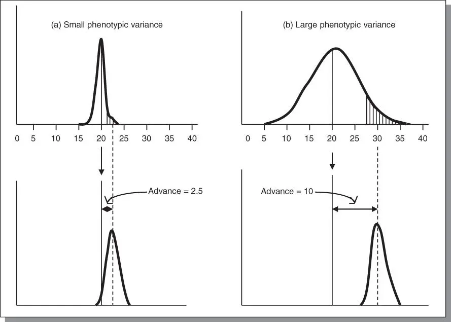 Figure 43The effect of phenotypic variance on genetic advance If the - фото 57