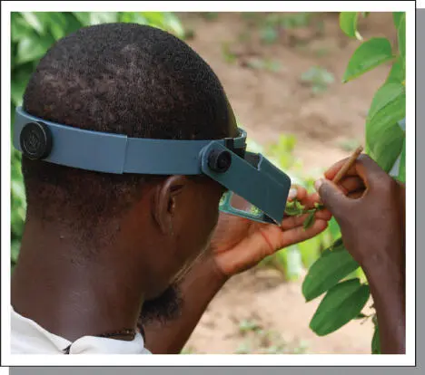 Figure 61Crossing in yam The use of magnifying glasses helps with the - фото 107