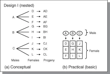 Figure 45The North Carolina Design I a This design is a nested arrangement - фото 72