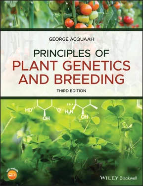 George Acquaah Principles of Plant Genetics and Breeding обложка книги