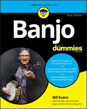 Bill Evans Banjo For Dummies обложка книги