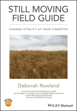 Deborah Rowland Still Moving Field Guide обложка книги