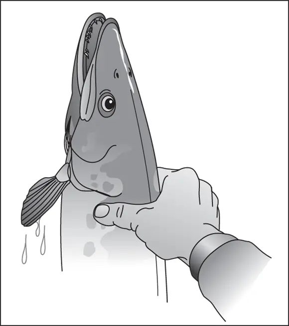 John Wiley Sons Inc FIGURE 47The fingerpreserving way to land a pike - фото 61